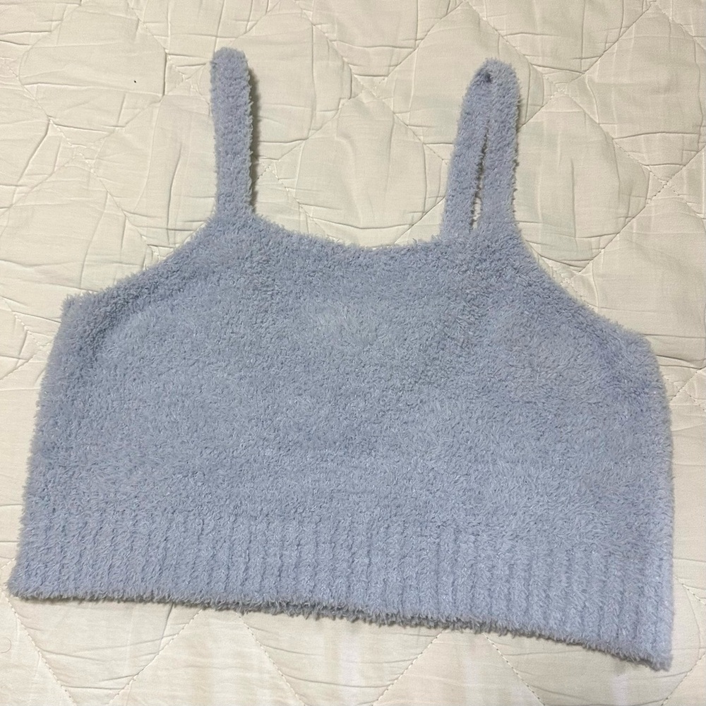 Stitch and Pine Blue Fuzzy Knit Crop Top